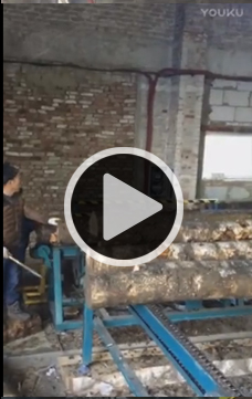 方木多片鋸，全自動(dòng)圓木方木生產(chǎn)流水線(xiàn)加工