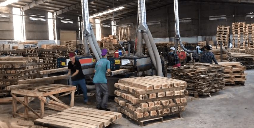 原木多片鋸生產(chǎn)線(xiàn)，越南????客戶(hù)使用現(xiàn)