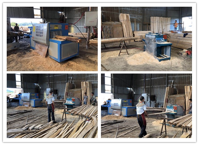 2018年6月湖南懷化雙排鏈原木多片鋸、小型方木多片鋸現(xiàn)場工