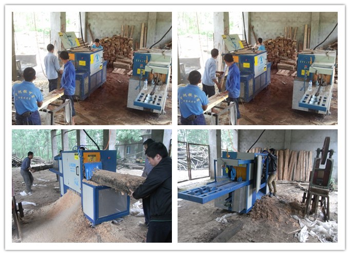 湖南岳陽--原木多片鋸、方木多片鋸工作圖