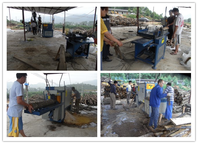 廣東韶關(guān)市馬壩-原木多片鋸、清邊機(jī)工作圖