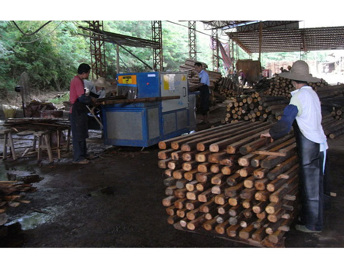 廣東-梅州-250圓木多片鋸加工現(xiàn)場(chǎng)