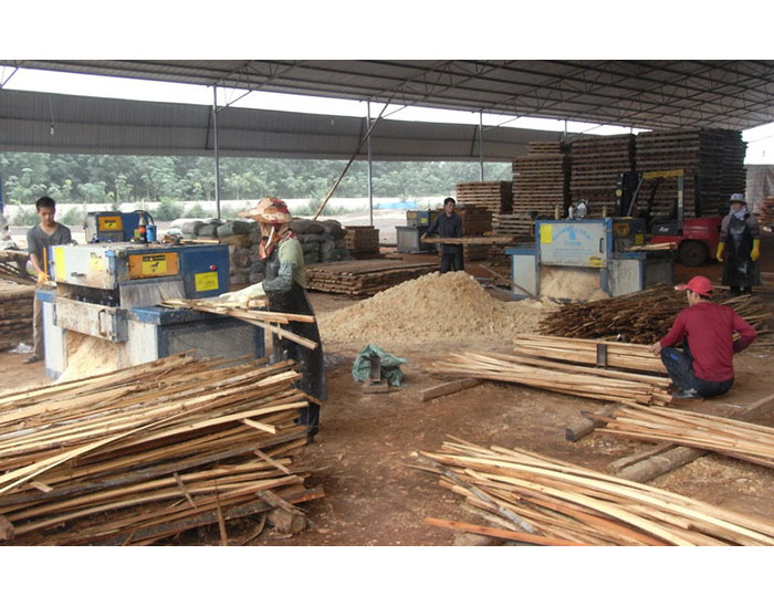 海南島-方木多片鋸加工現(xiàn)場(chǎng)0