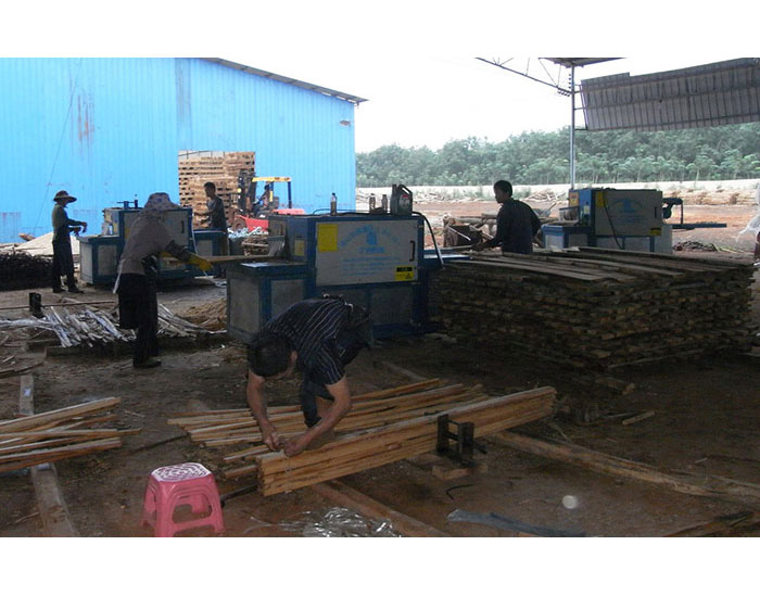 海南島-圓木-方木-多片鋸加工現(xiàn)場(chǎng)