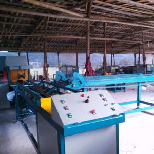 全自動原木多片鋸生產(chǎn)線在斯里蘭卡客戶現(xiàn)場